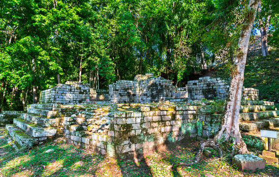 Cemetery Group of the Maya Archaeological Site at Copan. UNESCO world heritage in Honduras