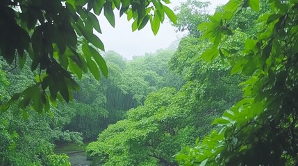Lush Rainforest Scene Under a Rainy Sky