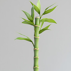 Obraz premium Segmented Bamboo Stalk with Green Leaves against Light Background