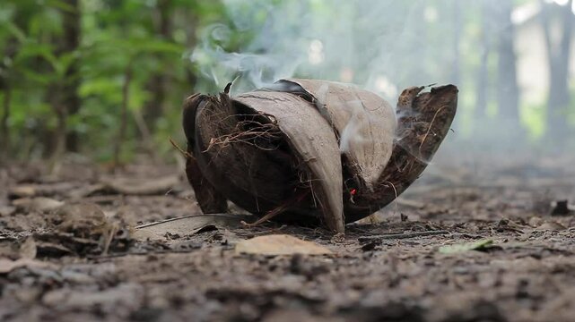 Smoke from coconut coir burning, a tradition to repel mosquitoes