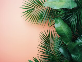 Fototapeta premium Tropical leaves arranged on a vibrant pink background creating a fresh and lively aesthetic