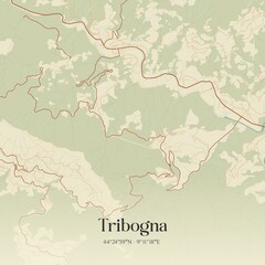 Obraz premium Vintage map of Tribogna, Italy.