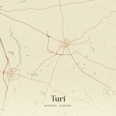 Vintage map of Turi, Italy.
