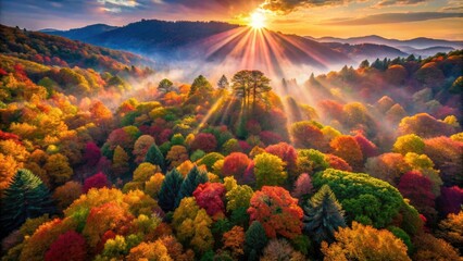 Obraz premium Aerial drone photography showcases Japan's Dotori forests in autumn; a mesmerizing display of nature's artistry.