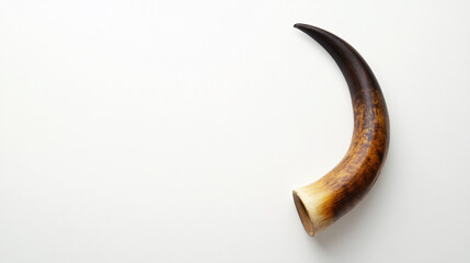 brown and white cow horn on a white background