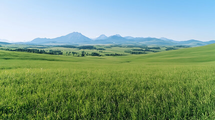 Fototapeta premium Lush green field, distant mountains, clear sky, summer landscape, ideal for travel brochures