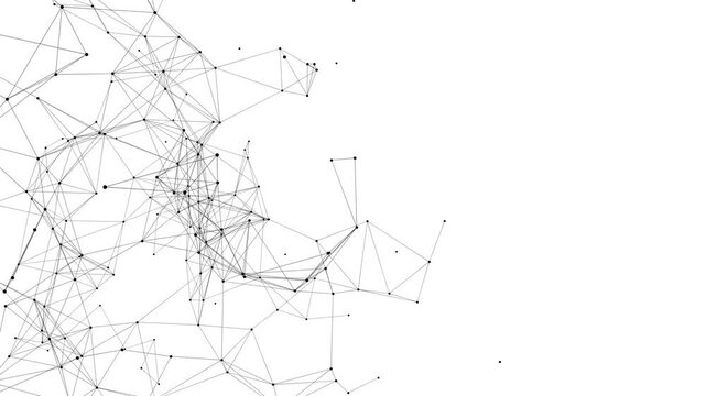 line connect network animation on white background. Line technology data connection and business background
