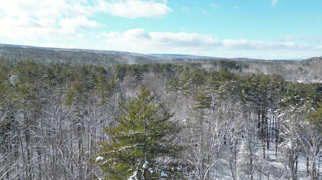 flying towards snow covered trees in the catskill mountains during winter (snowy blizzard weather) beautiful holiday nature landscape upstate new york stream snowing drone aerial establishing shot sun