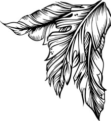 Obraz premium Handdrawn tropical flower corner border