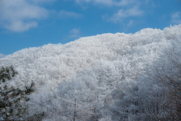 Snow Mountain Scenery in Korea