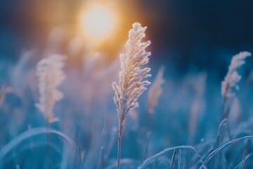 a single golden wheat