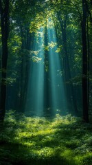 Fototapeta premium Sunbeams Illuminating a Mystical Forest Path