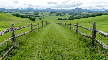 Fototapeta premium Green hills path leads to mountains