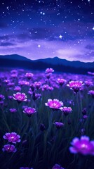 Obraz premium Purple flower field at night background landscape outdoors blossom.