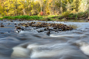 fast river between stones, stream of water passes the stone, ecology in the river, beautiful natural environment as background, blurred stream of water