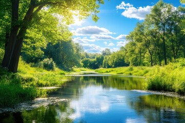 Fototapeta premium Sunny summer river, lush green forest, tranquil scene, nature background, idyllic travel
