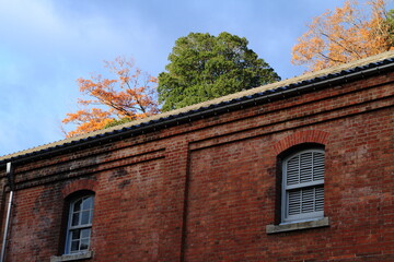 赤レンガ倉庫と青空と紅葉