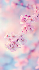 Obraz premium Soft focus close up of pink cherry blossoms, creating serene and delicate atmosphere. gentle hues and intricate details evoke sense of tranquility and beauty