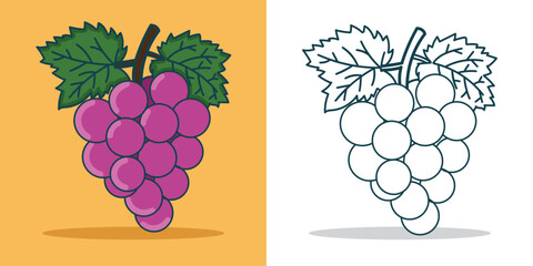 a simple Grape Illustration for design element or coloring book element