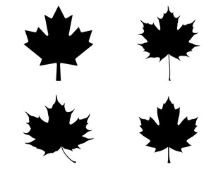 CANADIAN MAPLE LEAF SILHOUETTE ON WHITE BACKGROUND