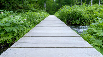 Obraz premium Wooden boardwalk path through lush forest, tranquil stream. Nature escape, travel photo