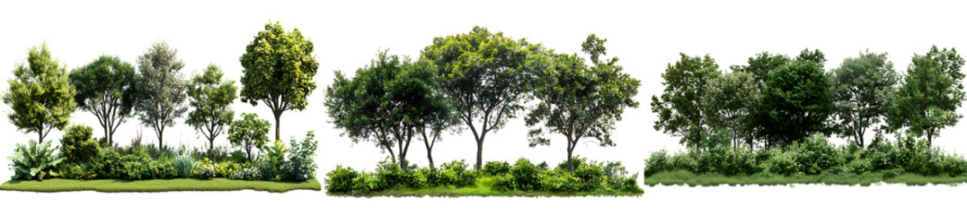 Obraz premium Set of a, Green trees and bushes, isolated on a transparent background.