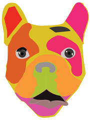 French Color, French, bulldog