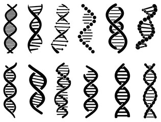 DNA SILHOUETTE ON WHITE BACKGROUND