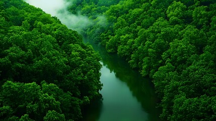 Fototapeta premium Aerial View Lush Green Forest River