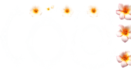 frame of flowers