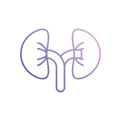 Kidney icon design stock illustration