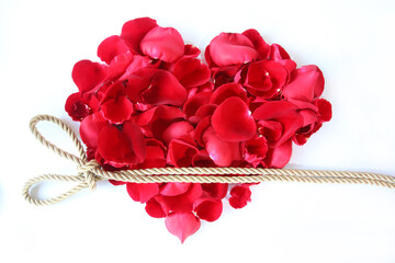 Red rose in heart shape is tied with a gold rope on white background.