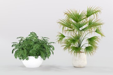  Plant pots in various natural shapes on a white background 3d