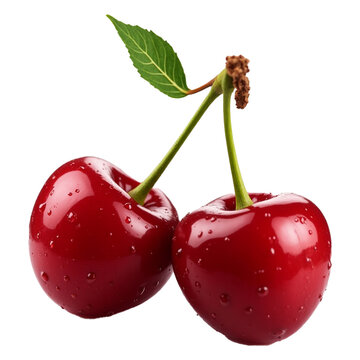 Close-up of a glistening, fresh cherry.