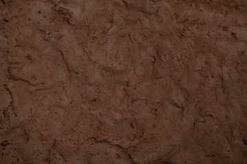 Mud background and dark tone, selective focus. soft picture