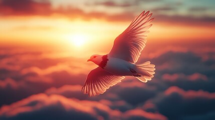 Serene Sunset Flight: A Dove's Journey Above the Clouds