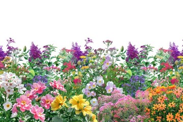 Colorful vibrant blooming garden illustration