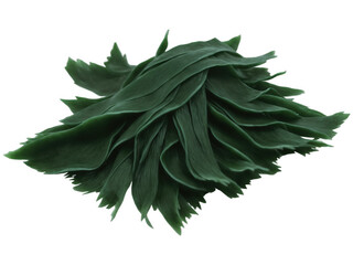 Wakame (Undaria pinnatifida) Seaweed used in soups, salads, and sushi, with a subtle, briny flavor. A staple in Japanese