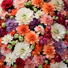 Red, Orange, Pink, Purple, Green and White Chrysanthemums