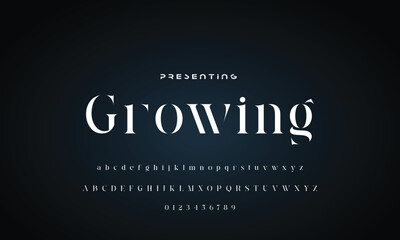 Elegant font alphabet logo. Typography Beauty fashion luxury classic letters serif fonts decorative wedding vintage retro logos. vector illustration