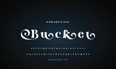 Luxury beauty font alphabet logo. Typography beautiful fashion elegant classic letters serif italic fonts wedding vintage retro casters logos. vector illustration