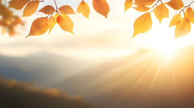 Autumn Sunset Landscape with Golden Leaves