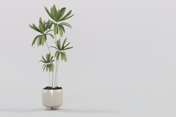 Plant pots in various natural shapes on a white background 3d	
