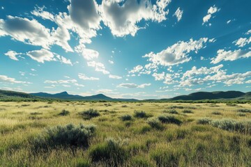 Sunny day, vast grassy plain, mountains backdrop, nature scene, landscape photography