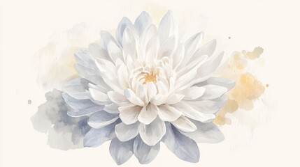 Obraz premium A delicate white watercolor illustration of a chrysanthemum, representing an autumn flower, set against a light background.