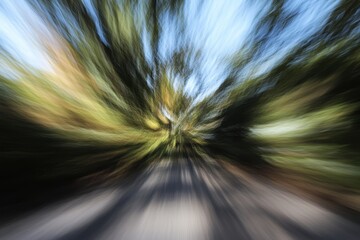 Speeding through autumn park, sunlight, blurred trees, road