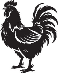 Black Chicken Silhouette Vector, High Quality Illustration on White Background