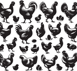 Black Chicken Silhouette Vector, High Quality Illustration on White Background