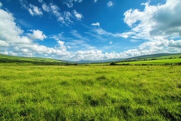 Obraz premium Sunny day, green field, rolling hills, blue sky, scenic landscape, travel poster