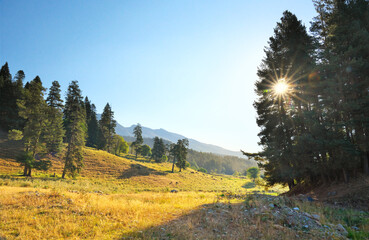 In mountain valley at sunrise.